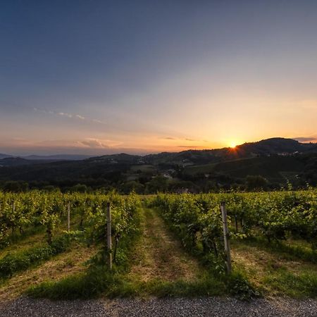 Weingut Reiterer 호텔 키체크 임 자우잘 외부 사진