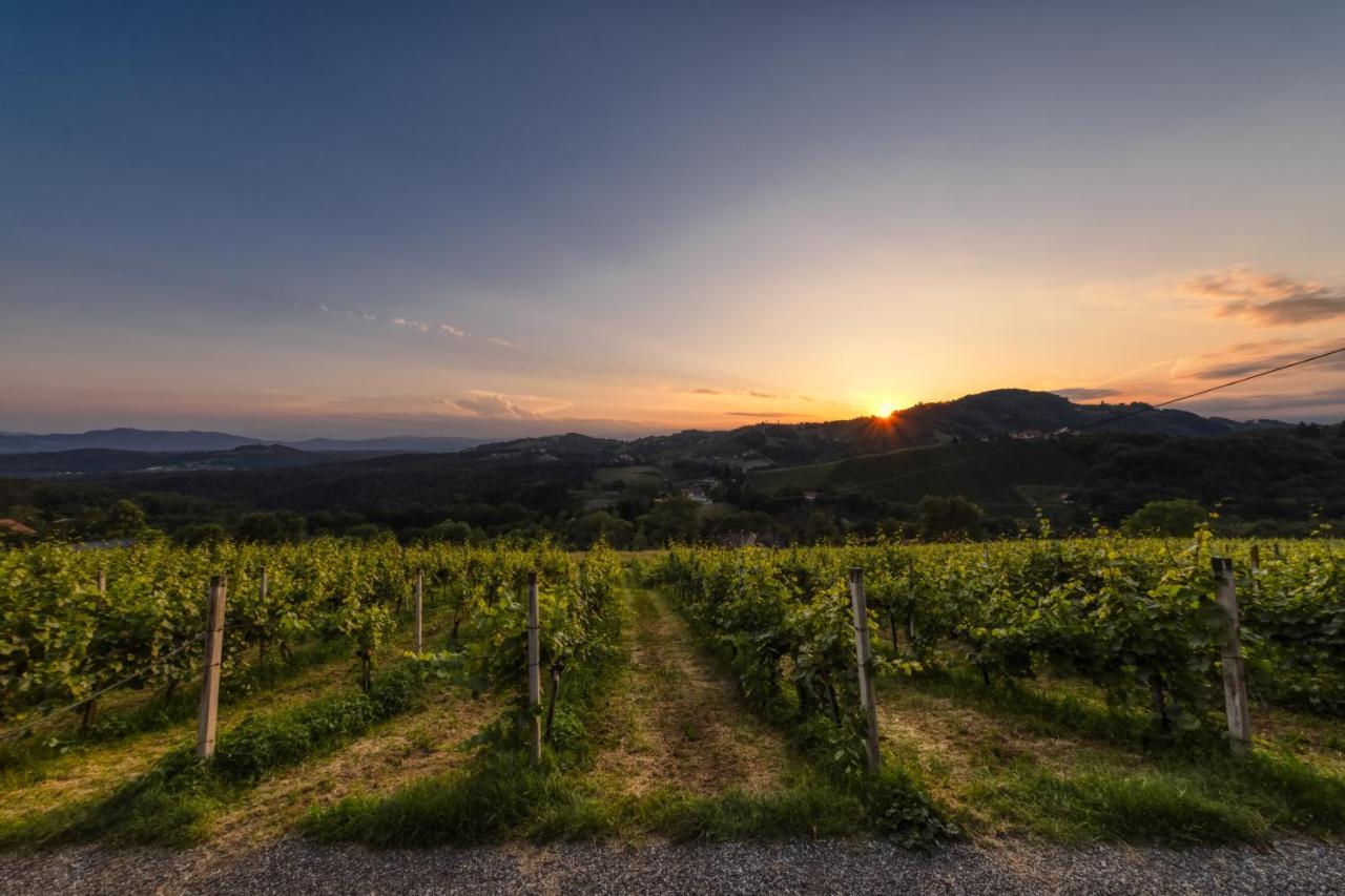 Weingut Reiterer 호텔 키체크 임 자우잘 외부 사진