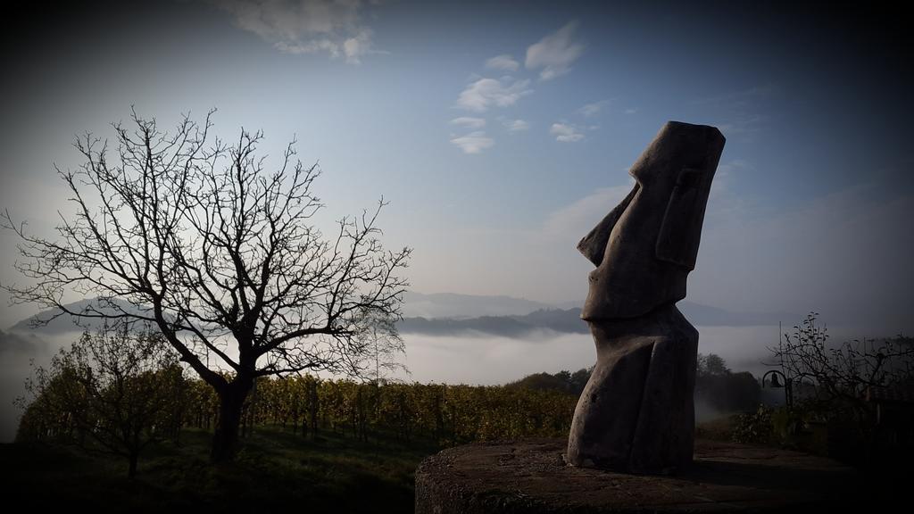 Weingut Reiterer 호텔 키체크 임 자우잘 외부 사진