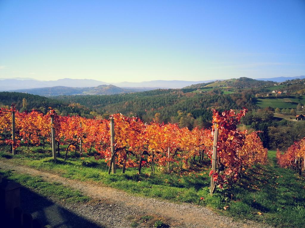 Weingut Reiterer 호텔 키체크 임 자우잘 외부 사진